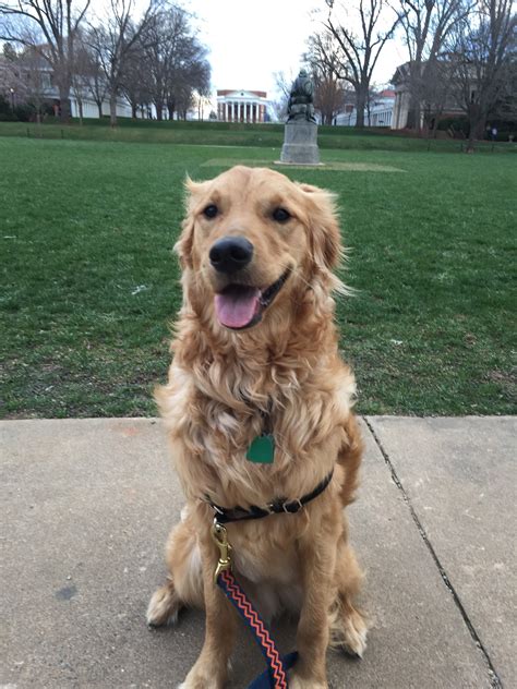 Notes from Peabody: The UVA Application Process: Regular Decision