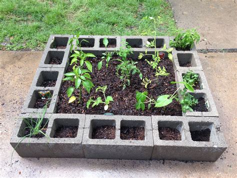 Cinder Block Vegetable Garden | Vegetable garden, Container gardening