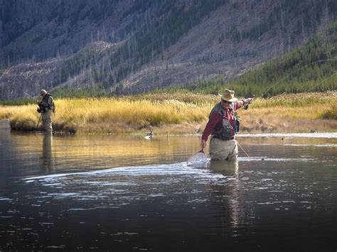 Putting one in the net. Madison River-11-2015 | Madison river, Madison river montana, Fishing ...