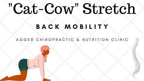 Cat Cow Stretch Youtube