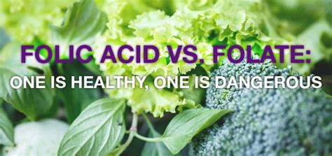Folate And Folic Acid Are They Both Created Equal