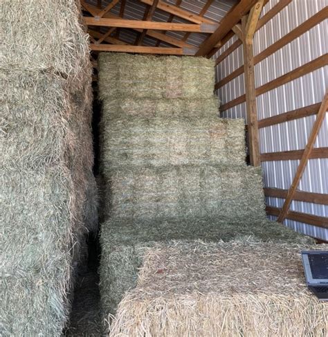 Horse Hay For Sale 1st Cutting 70 Alfalfa 30 Orchard Small Bale Bundles
