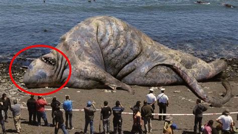 10 Creepiest Looking New Creatures Sea Monsters Creepy