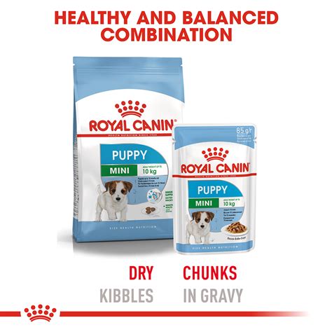 In this article we are going to discuss the hot question, is royal canin good quality dog food: Buy Royal Canin Mini Puppy Wet Dog Food Pouches Online ...