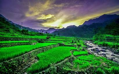 Sawah Dan Gunung Pemandangan Vietnam Fotogambar Gambar