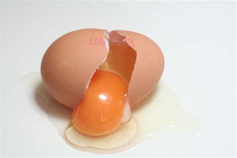 What Does Your Egg Yolk Mean Jaemie Sures Blog