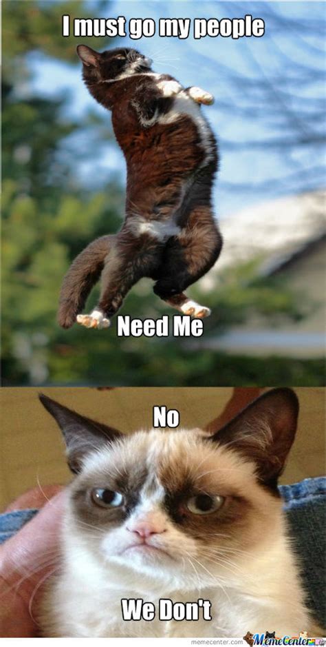 Clean Grumpy Cat Memes Image Memes At