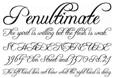 20 Free Calligraphy Fonts For Creatives Super Dev Resources