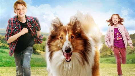 She usually watches movies based on my dad's recommendation for her, or watches movies on an airplane during her flight. Watch Lassie Come Home (2020) Full Movie Online Free ...