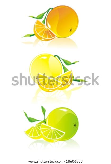 Illustration Orangelemon Lime Easy Editing Stock Vector Royalty Free