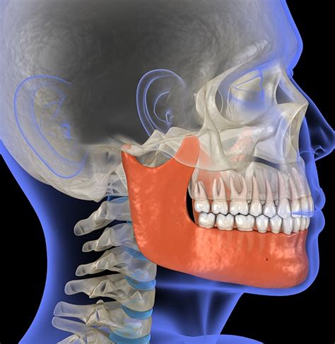 Tmj Therapy Chelsea Mi Emergency Dentist Jaw Pain