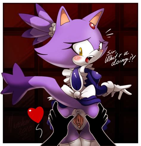 Rule 34 Blaze The Cat Nancher Sonic Series Sonic The Hedgehog Series Tagme 505005