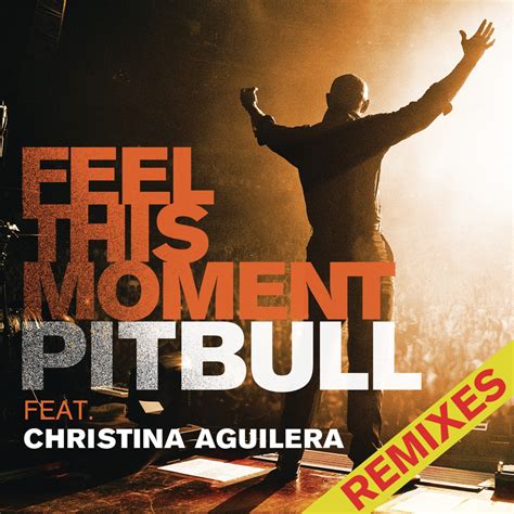 Pitbull Feel This Moment Remixes Lyrics And Tracklist Genius