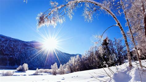 Sunlit Winter Landscape Wallpaper Pixelstalknet