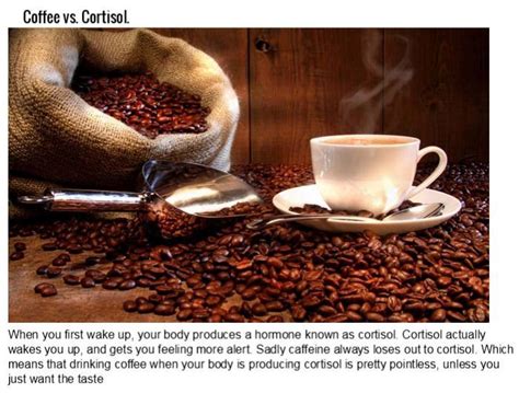 16 Things You Didn T Know About Coffee 16 Pics
