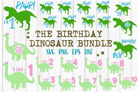 Birthday Dinosaur Bundle - SVG, PNG, DXF, EPS (198256) | SVGs | Design