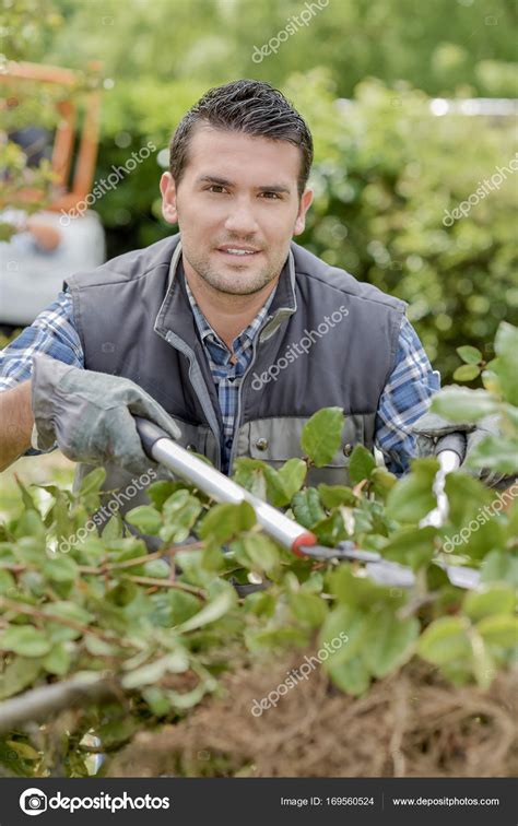 Man Cutting His Hedges — Stock Photo © Photography33 169560524
