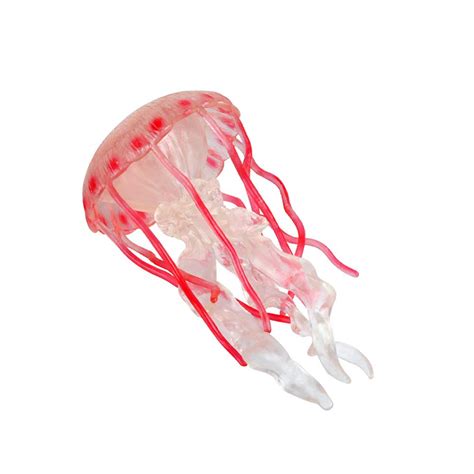 Buy Hiawbon Simulated Sea Life Animals Figurines Realistic Plastic