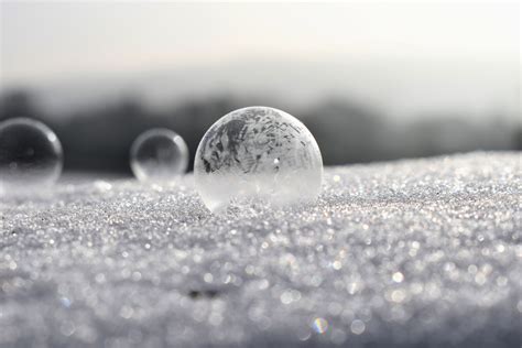 Free Images Water Snow Cold Winter Drop Black And White Frost