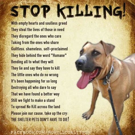 Poem Animals Dogs Stop Animal Cruelty