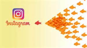 How to get followers on instagram? How to Gain Your 1st 1000 Followers on Instagram