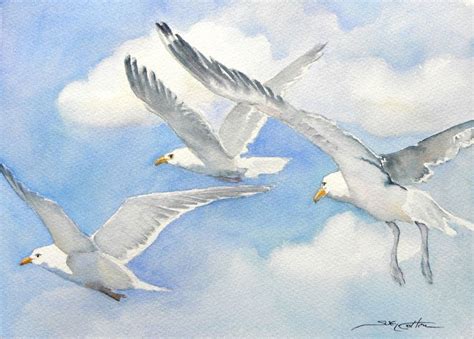 Herring Gulls Flying