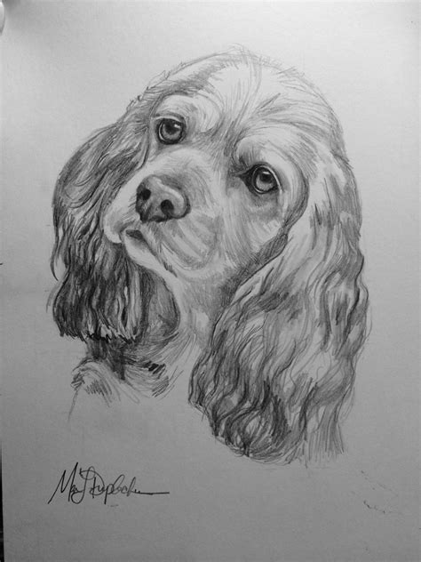 Graphite Print - COCKER SPANIEL by MarieDuplechien on Etsy https://www