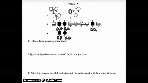 Avanell was quickly pronounced dead and the warehouse declared a crime scene. Pedigree Review Worksheet - YouTube