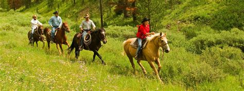 Horseback Trail Riding Tips Horse Saddle Comparison