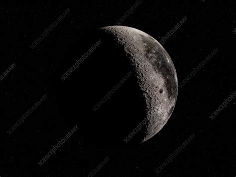 Illustration Of The Moon Stock Image F0236640 Science Photo Library