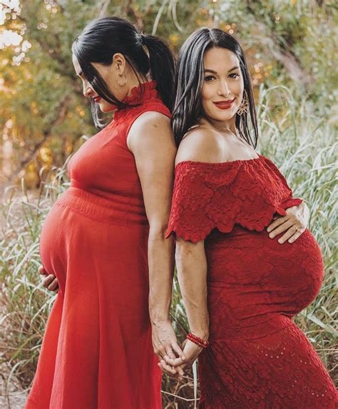 Pregnant Twins Nikki And Brie Bella Nominealio