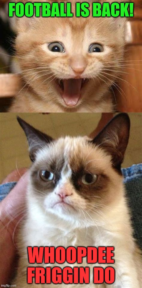 Grumpy Cat Imgflip