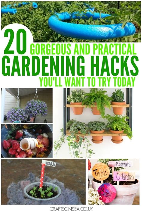 20 gorgeous and practical gardening hacks you ll want to try crafts on sea