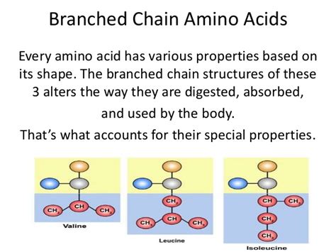 There are nine essential amino acids in total, but it's overkill and it won't get you any better results. related video: Paleo Proteins Perfected: Video 3 of 11; Benefits of ...