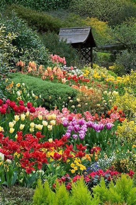 Beautiful Spring Garden Pictures Photos And Images For Facebook