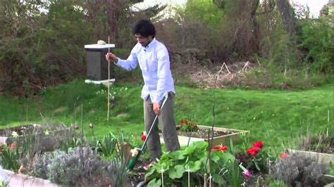 Gladiolus (gladiolus) are beloved for their orchidlike blooms in a variety of colors ranging from white to yellow to purple and even burgundy. Planting Gladiolus - YouTube