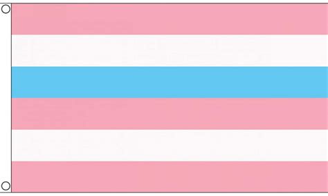 Intersex Pinkblue Pride Flag Large 5 X 3 Ft Lgbtq Gay Etsy