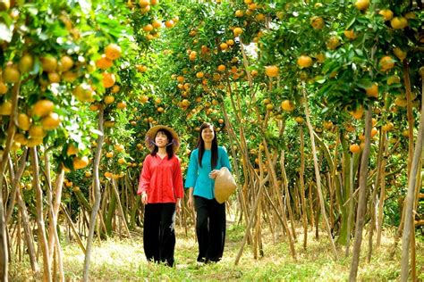 Visiting 4 Famous Fruit Orchards In Mekong Delta Tnk Travel
