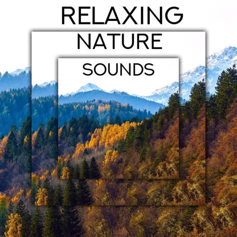 Album Relaxing Nature Sounds Ambient New Age Music Keep Calm With Nature Sounds Pouring Rain