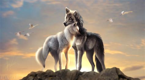 Love Wolf Wallpapers Wallpaper Cave
