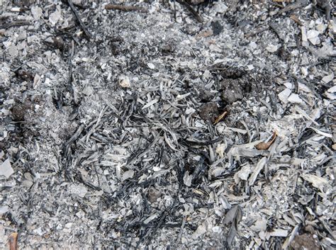Burned Wood Ash Background From Fireplace — Stock Photo © Casanowe1
