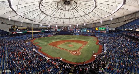 The Outskirts Of Suburbia Tropicana Field