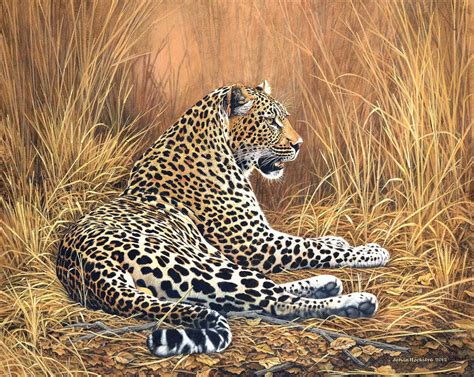 Leopard Art Work Johan Hoekstra Wildlife Art Prints Available