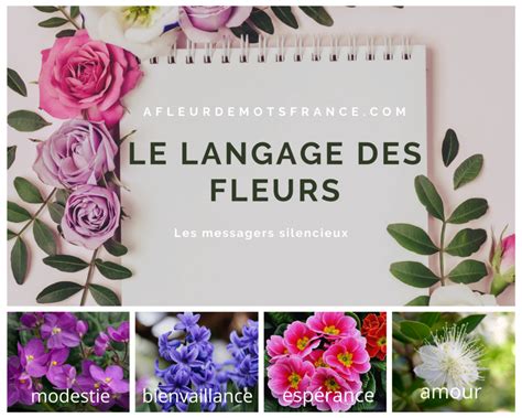 Guide Du Langage Des Fleurs Transmettre Le Bon Message