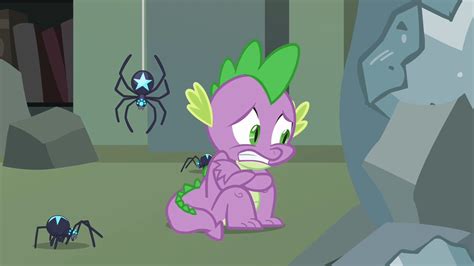 Image Spike Scared With Star Spiders Around Him S4e03png My Little