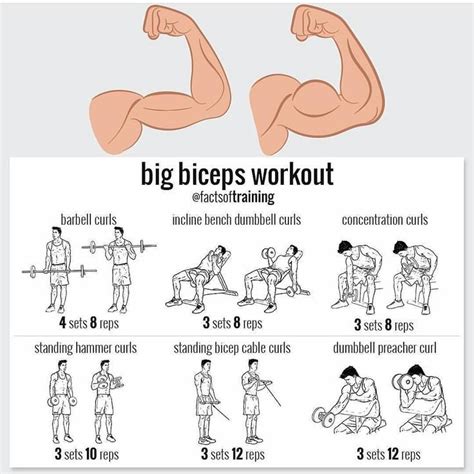 Get Bigger Biceps With These 8 Arm Exercises Big Biceps Workout