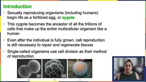 Openstax Concepts Of Biology Chapter 6 Getting Started Youtube