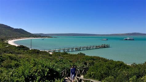 West Coast National Park All You Need To Know Before You Go