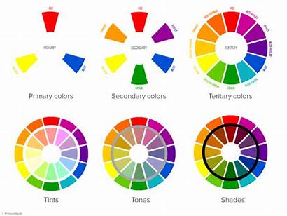 Theory Wheel Colors Powerpoint Presentation Basics Basic