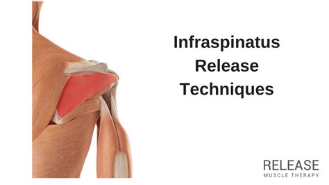 Infraspinatus Release Techniques 5 Of The Best Solutions Self